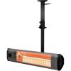 Heater + Ceiling Mount